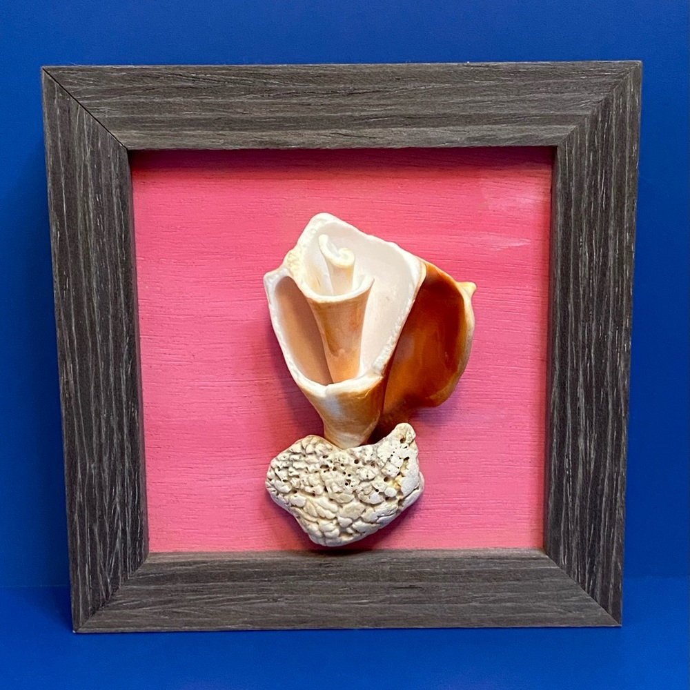 Handmade sea shell art